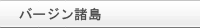 �o�[�W������