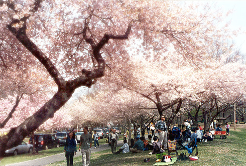 在ny総領事館 イベント