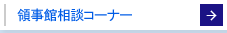 領事館相談コーナー